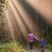 Living Sustainably