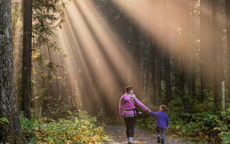 Living Sustainably
