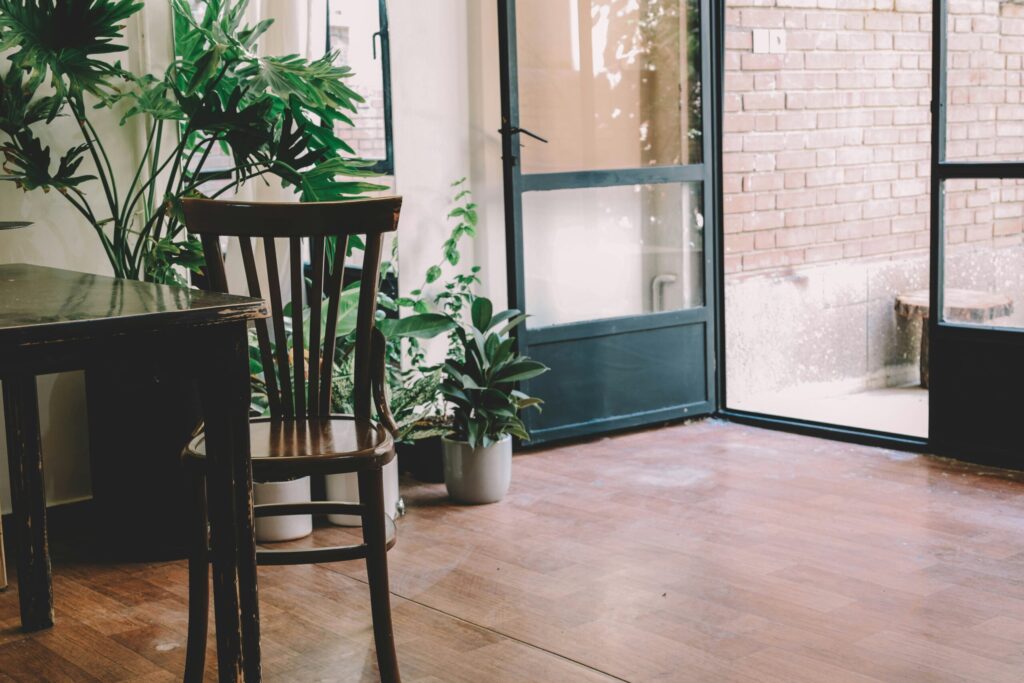 Air purifying indoor plants, ventilation improving indoor air quality