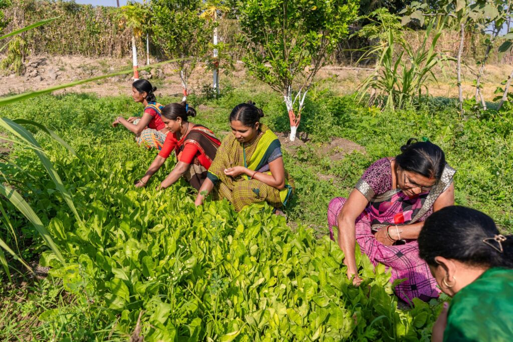 Sustainable community food system