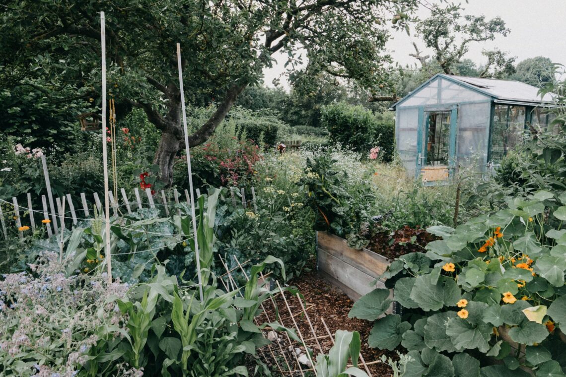 A thoughtfully designed garden meeting living space