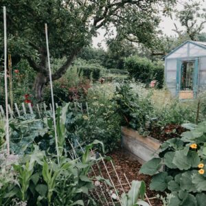 A thoughtfully designed garden meeting living space