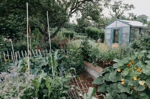 A thoughtfully designed garden meeting living space