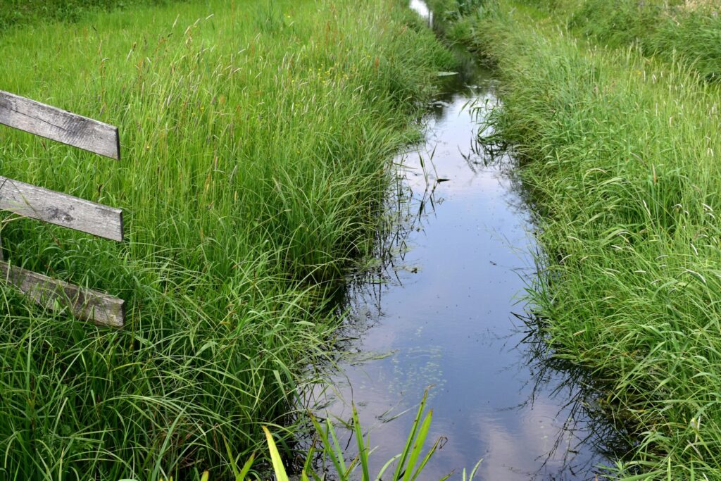 Rainwater collection method on a farm