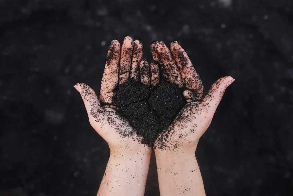 hands holding rich soil - environmental nutrition