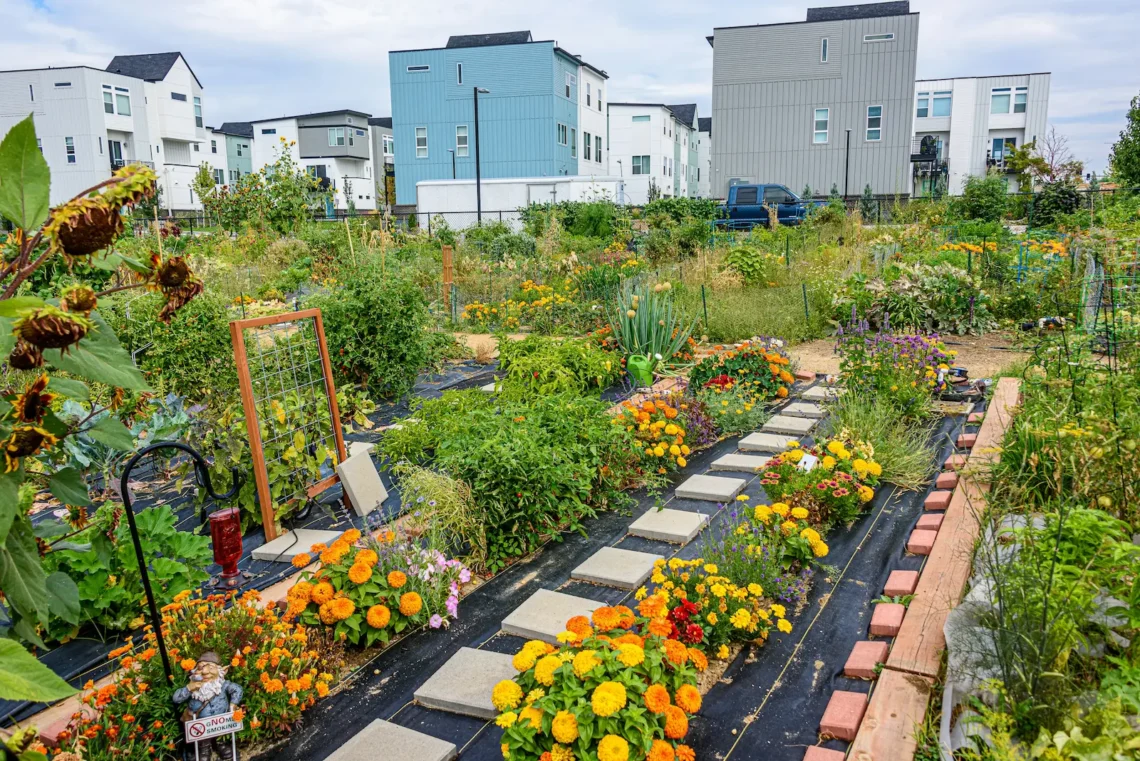 holistic sustainable lifestyle practiced in a community garden