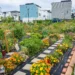 holistic sustainable lifestyle practiced in a community garden
